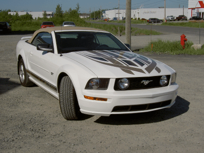 fuck-mustang.gif